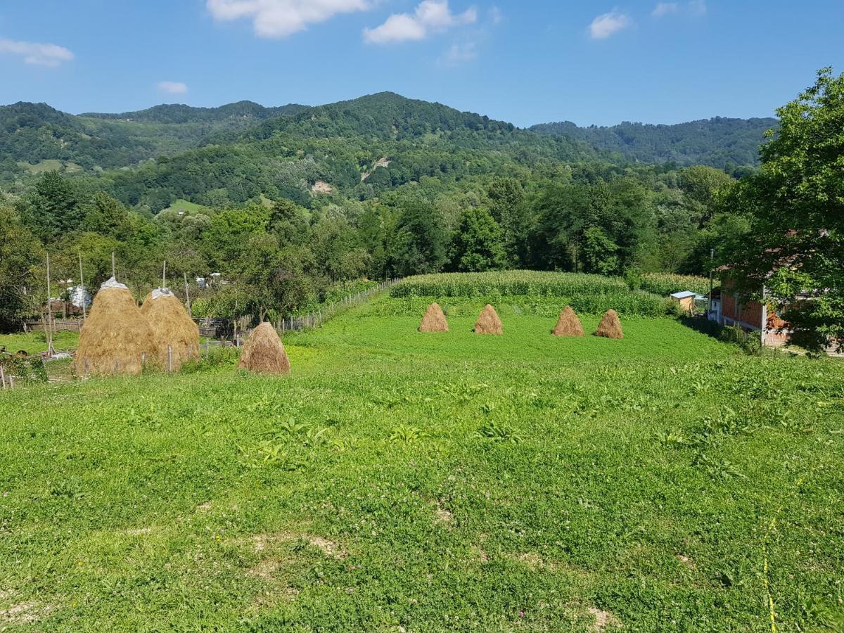 Heaven Guesthouse كوربين المظهر الخارجي الصورة